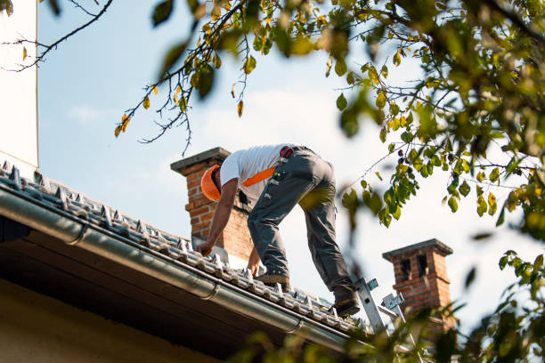 Best Gutter Installation and Roofing  in Dandridge, TN