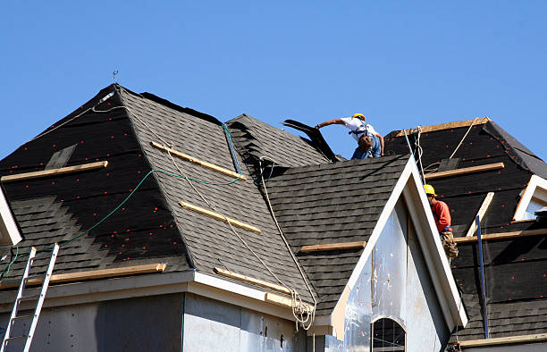 Best Shingle Roofing Installation  in Dandridge, TN