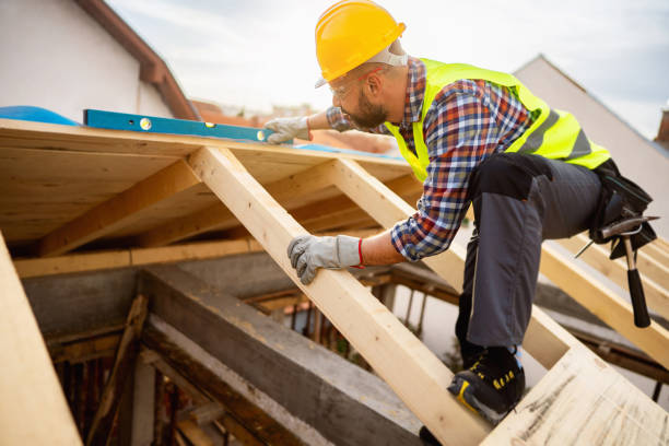 Best Storm Damage Roof Repair  in Dandridge, TN
