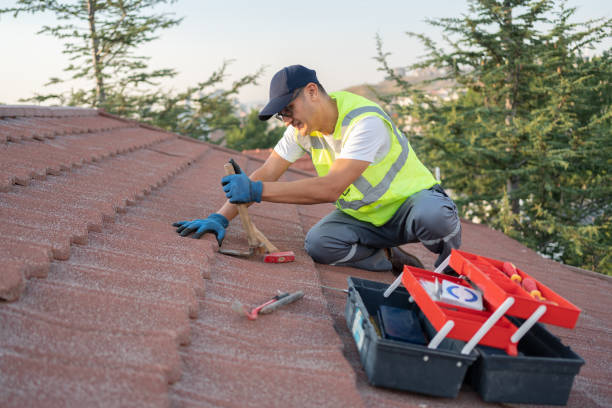 Best Local Roofing Companies  in Dandridge, TN